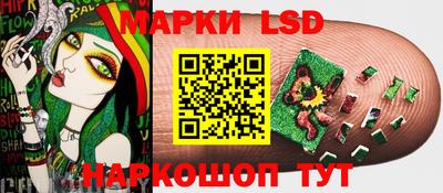сатива Моздок