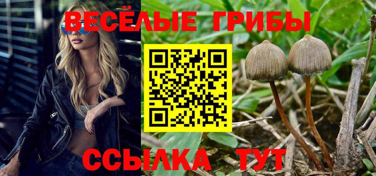 Галлюциногенные грибы GOLDEN TEACHER Владивосток