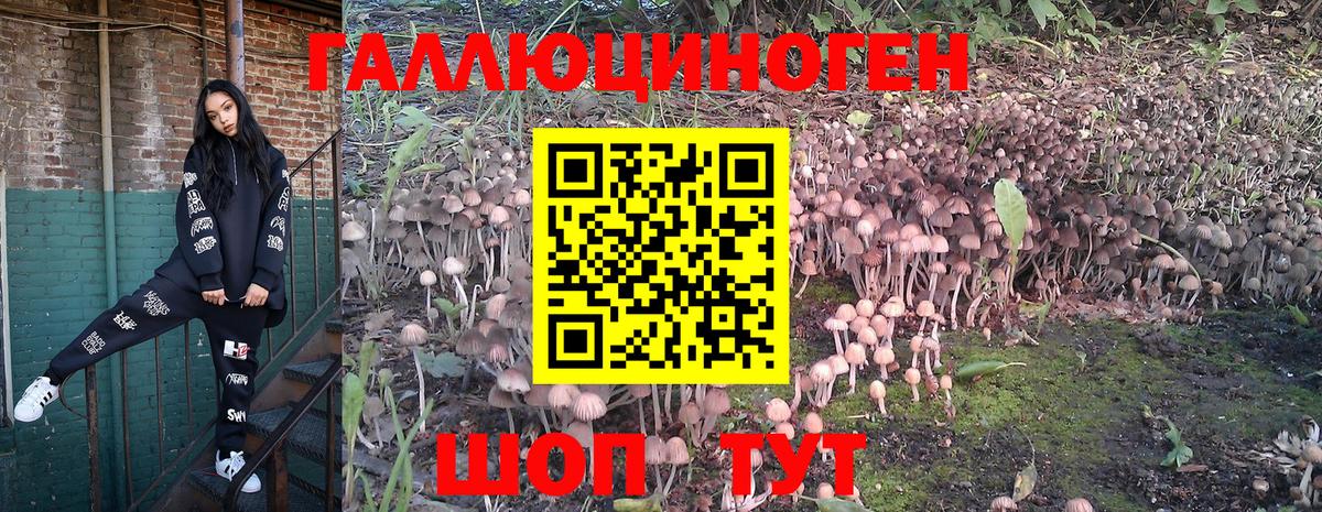 Владивосток  Псилоцибиновые грибы Magic Shrooms  Вход с VPN 